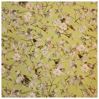 EXCLUSIVE JAQUARD SILK PRINTED- MARIO RIVA EXCLUSIVE JAQUARD SILK PRINTED- MARIO RIVA