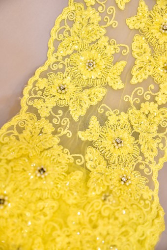 BORDER LACE BEADED BORDER LACE BEADED