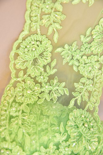 BORDER LACE BEADED BORDER LACE BEADED