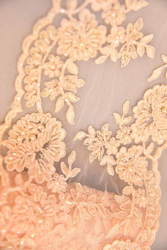 BORDER LACE BEADED BORDER LACE BEADED