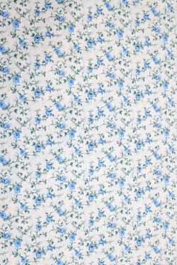 Swiss Cotton Silk Printed  (Flower Design)